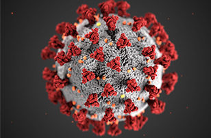 stock photo of coronavirus germ