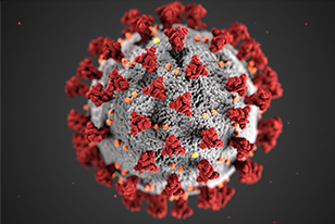 stock photo of coronavirus germ