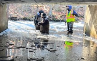 Grasso Tech Bioscience students assessing waterways