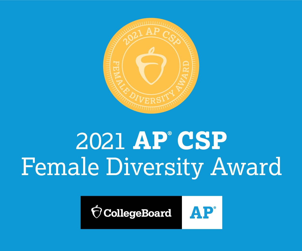 2021 AP CSP Female Diversity Award